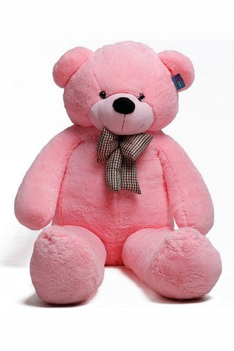 Pink Teddy Bear murukali.com