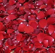 Red Rose petals -Bunch / Amarose atotoye kumufungo murukali.com