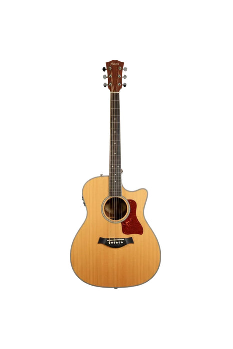 Acoustic-Electric Guitar