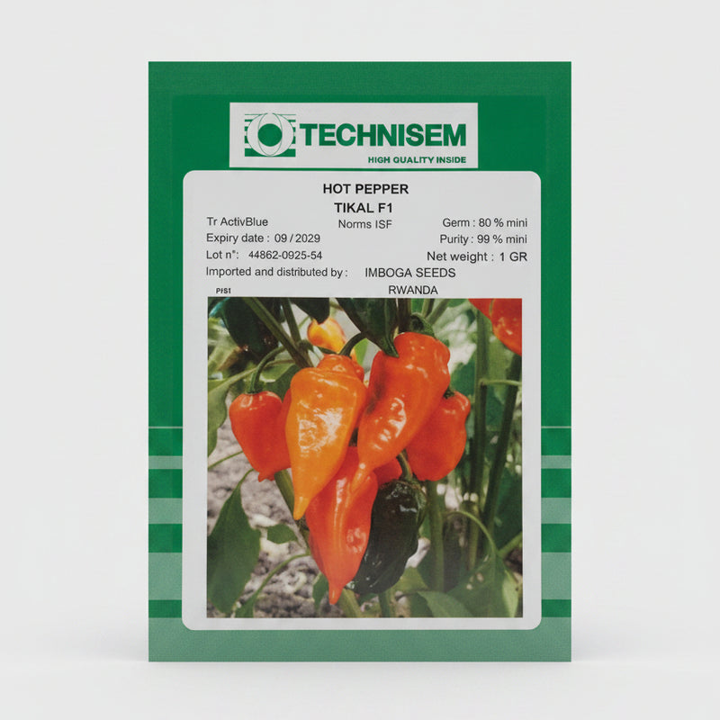 Tikal F1 Hot Pepper Seeds 5g