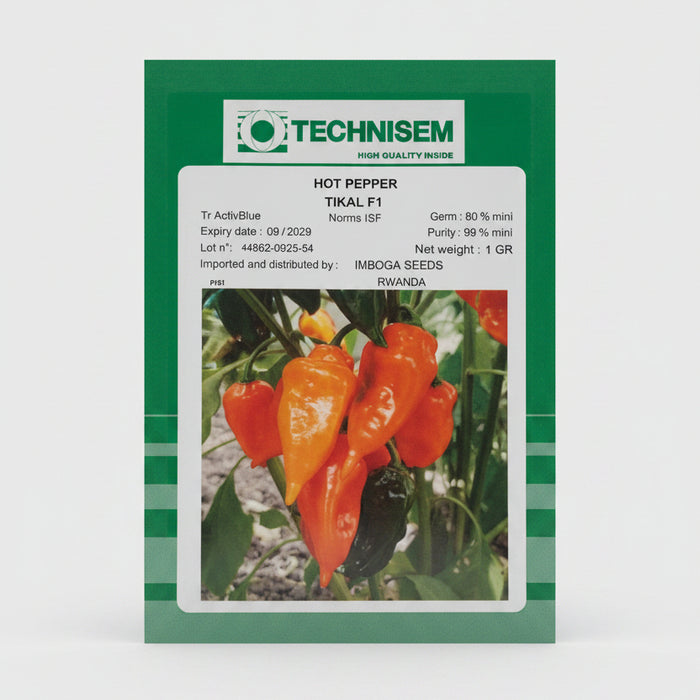 Tikal F1 Hot Pepper Seeds 5g