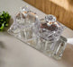 2-Piece Acrylic Spice Jar Set with Tray and Spoons Murukali.com