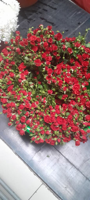 Garden-Fresh Spray Rose Bunch – Unwrapped
