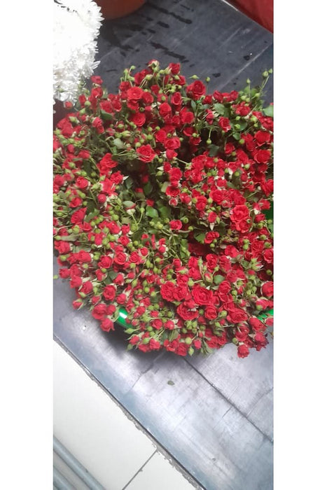 Garden-Fresh Spray Rose Bunch – Unwrapped