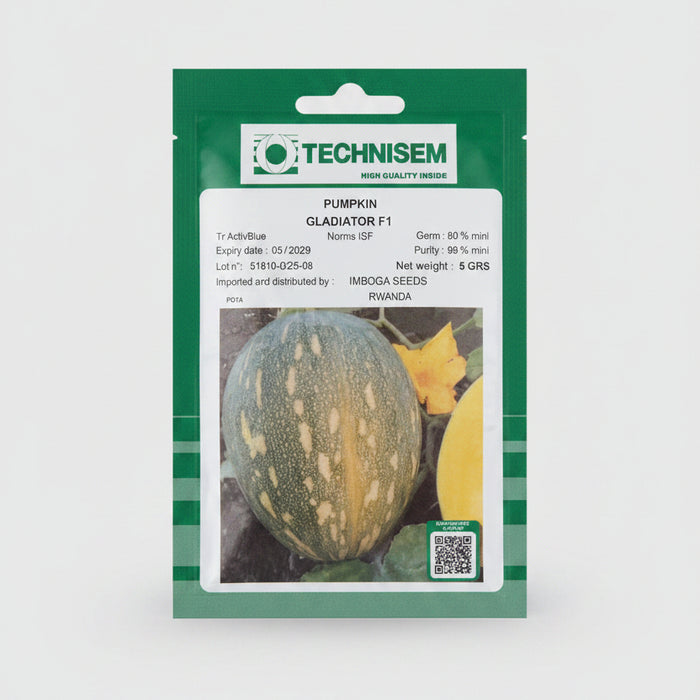 Gladiator F1 Pumpkin Seeds 5g