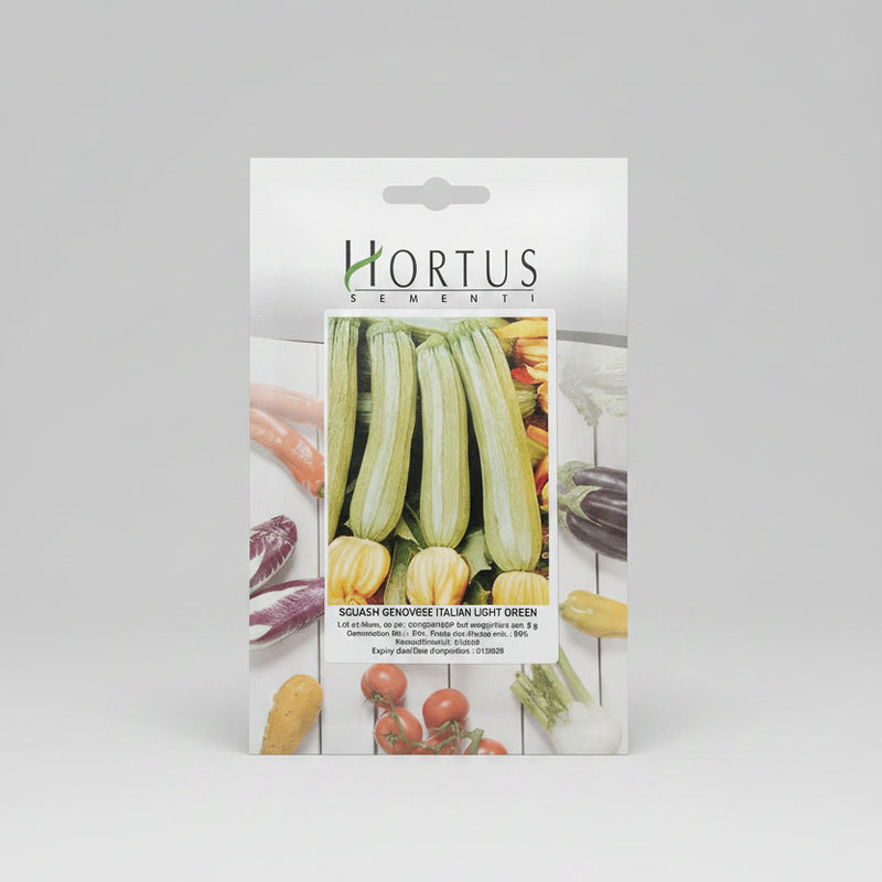 Squash Genovese Italian Light Green 5g