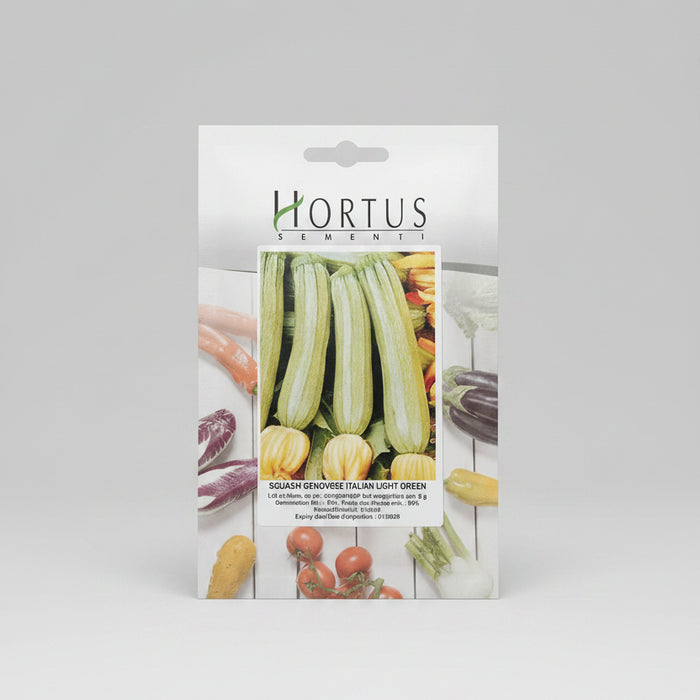 Squash Genovese Italian Light Green 5g