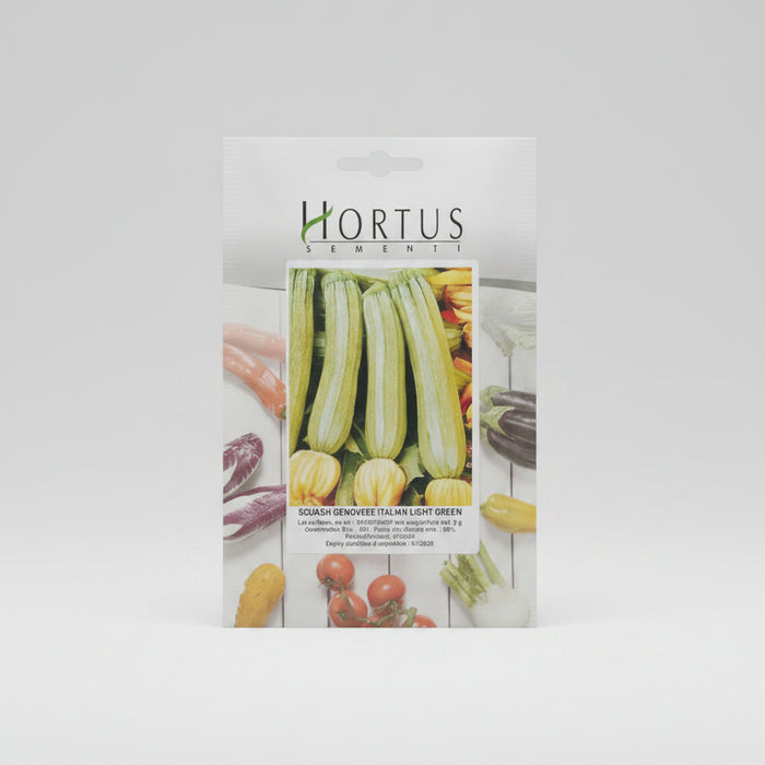 Squash Genovese Italian Light Green 5g