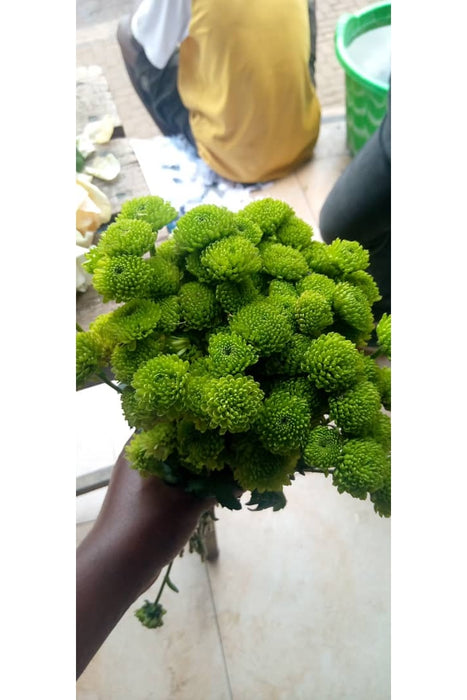 Green Flower Pompom or Pom Buttons/bunch