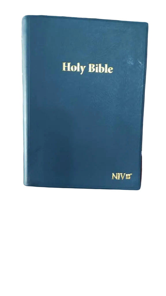 NIV Die Bibel (Türkisfarbenes Hardcover)