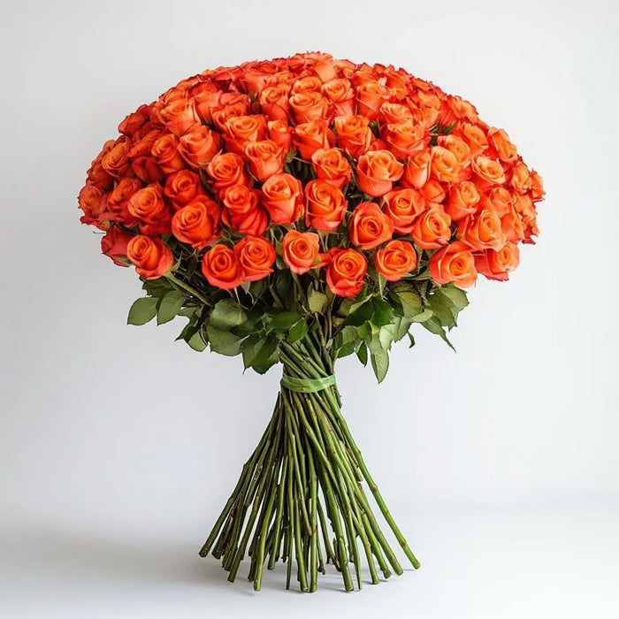 A Wrapped 100 Flowers Fresh Orange Roses  Bouquet murukali.com