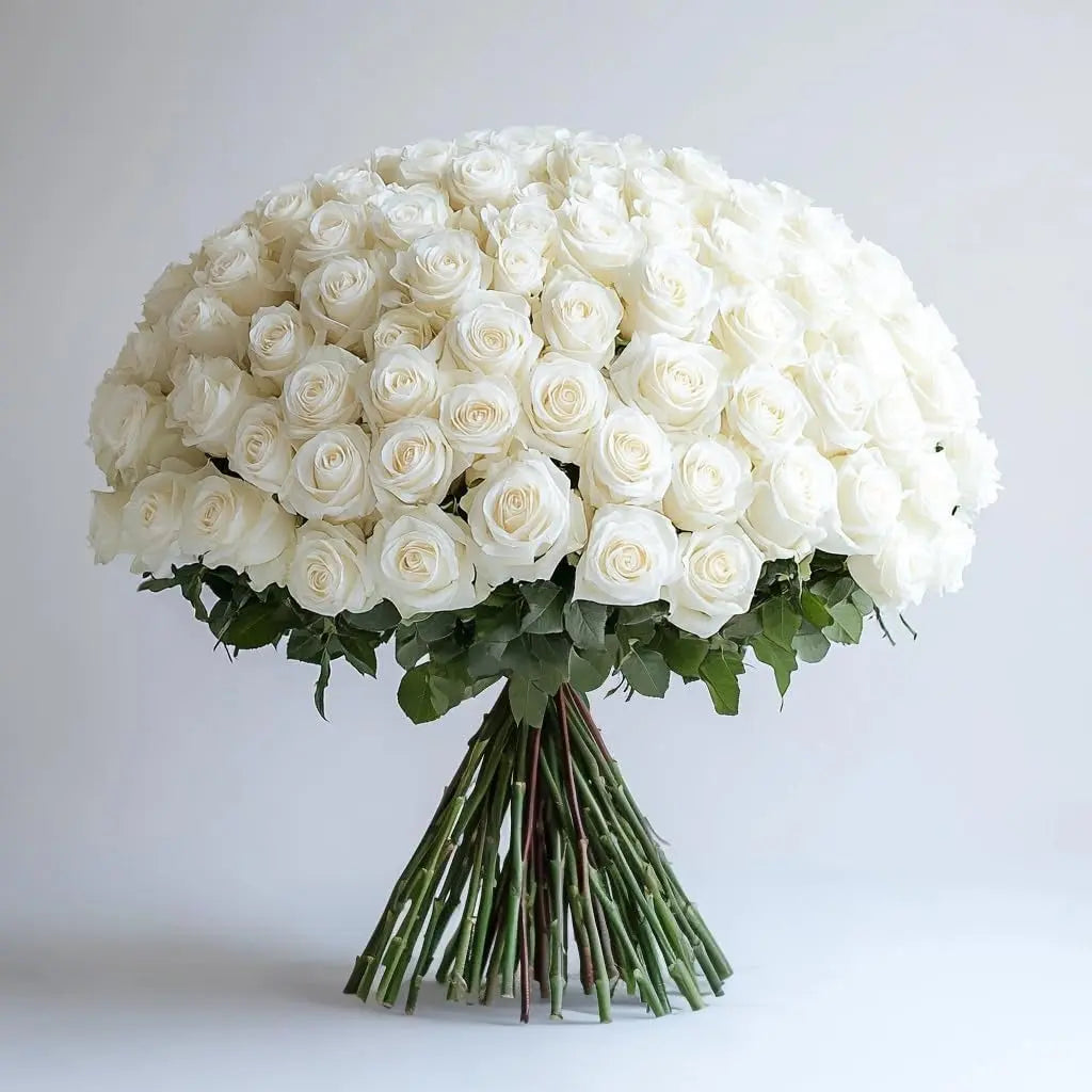A Wrapped 100 Flowers Fresh White Roses Bouquet - Murukali.com
