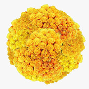A Wrapped 100 Flowers Fresh Yellow Roses  Bouquet murukali.com