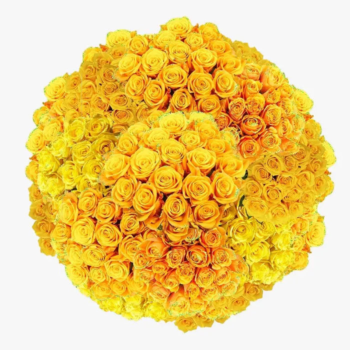 A Wrapped 100 Flowers Fresh Yellow Roses  Bouquet murukali.com