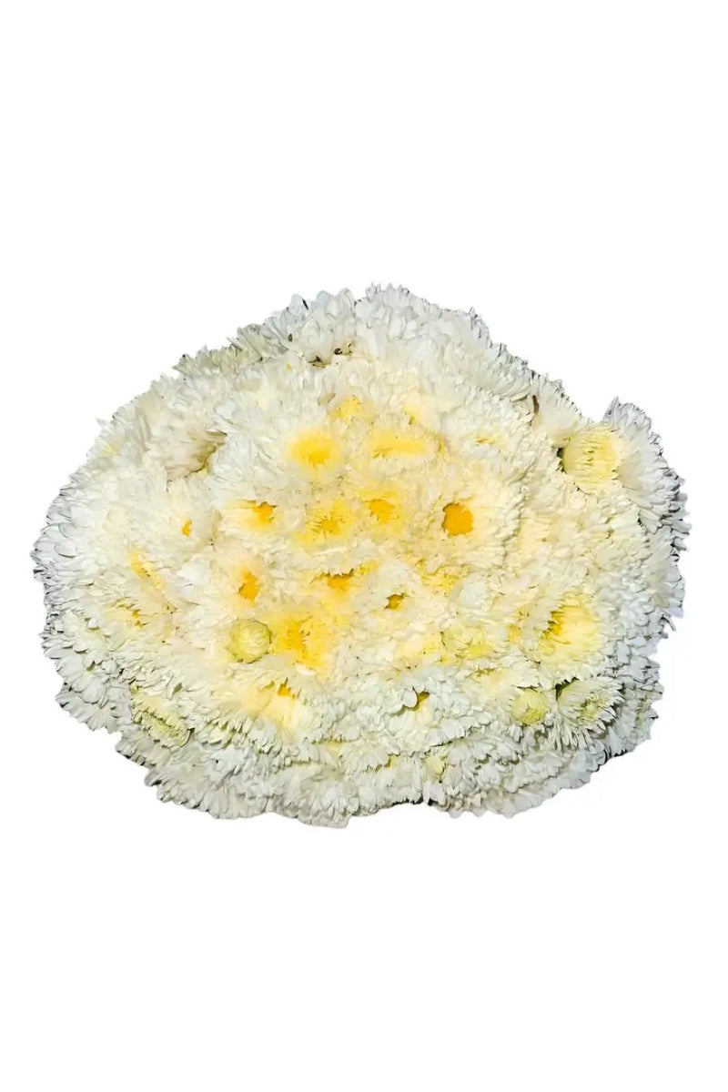 A bunch of unwrapped Daisy flowers with a delightful fragrance murukali.com