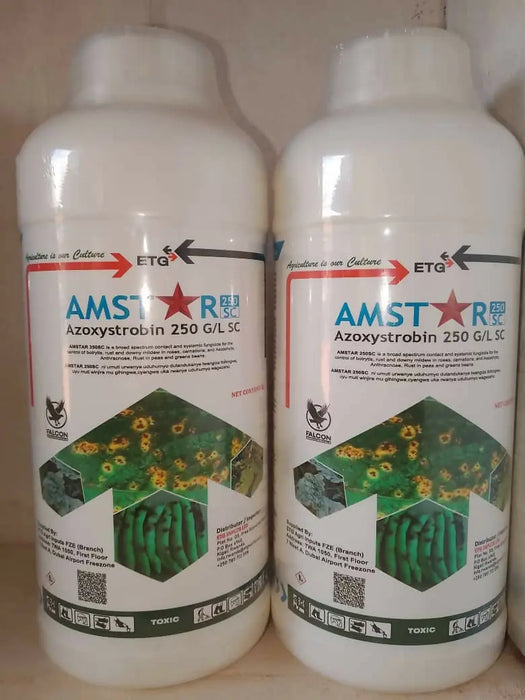 WhatsApp Image 2025-06-09 at 17.13.04_6afd11b5