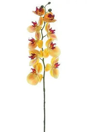 Artificial Flower Phalaenopsis Orchid Yellow /pc murukali.com