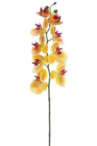 Artificial Flower Phalaenopsis Orchid Yellow /pc murukali.com