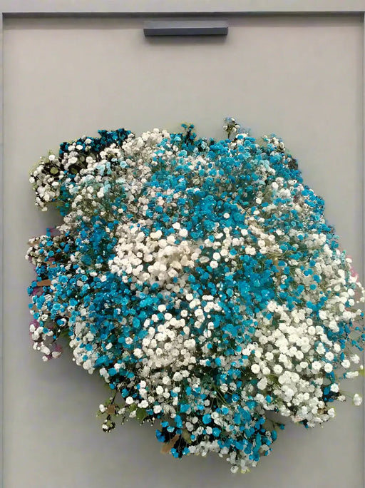 WhatsApp Image 2025-06-13 at 08.57.46_e4926ae5