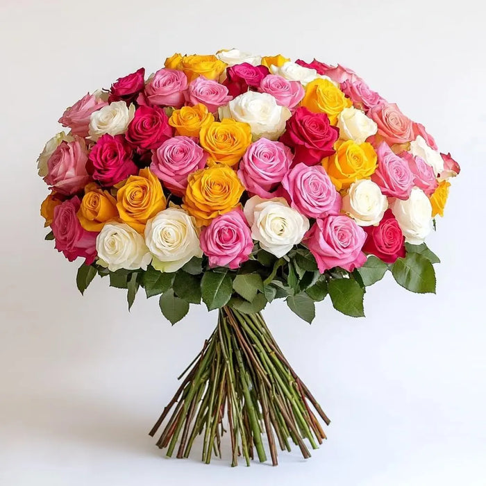 Big Bouquet of 100 Mixed Fresh Roses (Red, Pink, White & Yellow) murukali.com