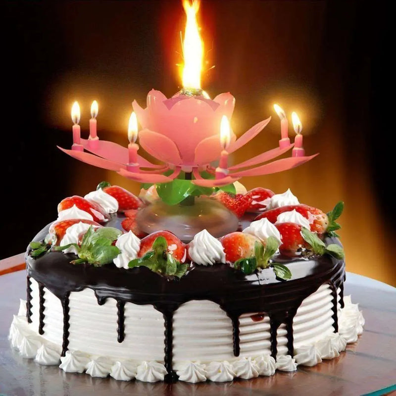 Birthday Candle murukali.com