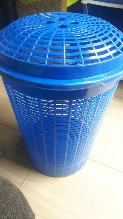Blue Line Plastic Laundry Basket Murukali.com