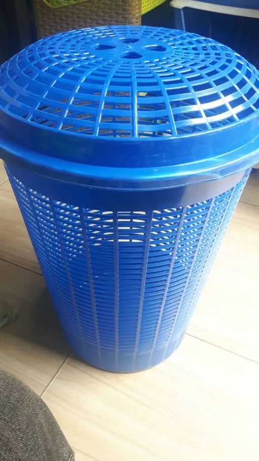 Blue Line Plastic Laundry Basket Murukali.com