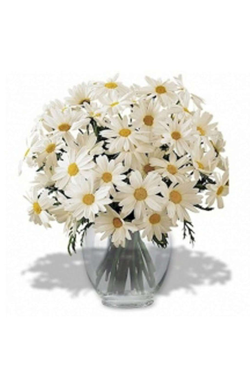 Bunch of Daisies Flowers in Big Vase murukali.com