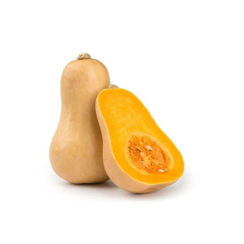 Butternut Squash /pc murukali.com