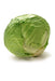 Cabbage - Ishu /Pc murukali.com