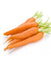 Carrot /Kg murukali.com
