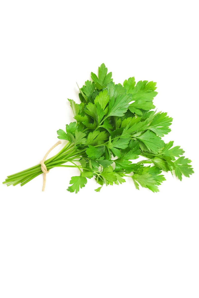 Celery - sereri murukali.com