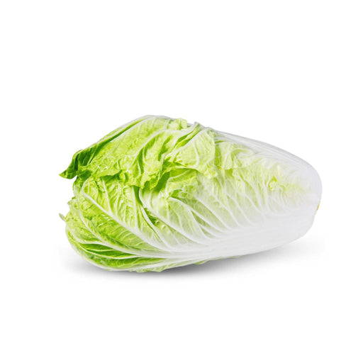 Chinese Cabbage murukali.com