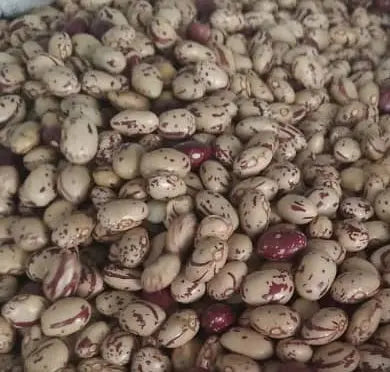 Cranberry Dry Beans Kiryumukwe /kg Murukali.com