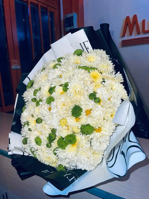 Daisy flowers with a delightful fragrance bouquet murukali.com