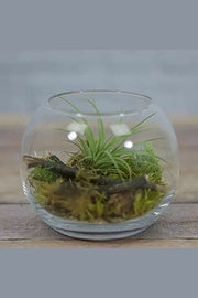 Decorative Glass Vase murukali.com