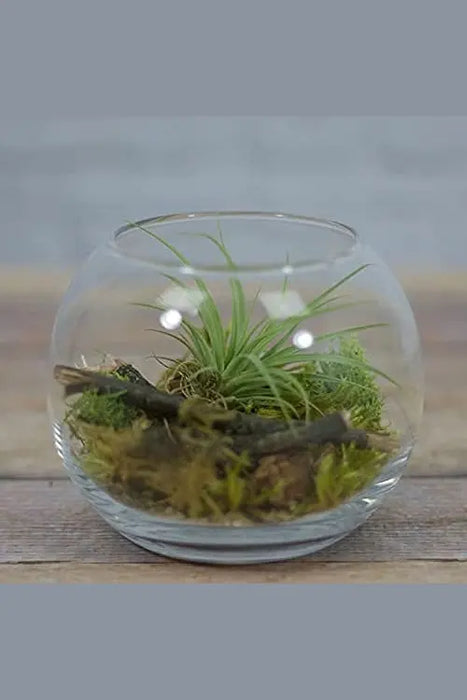 Decorative Glass Vase murukali.com