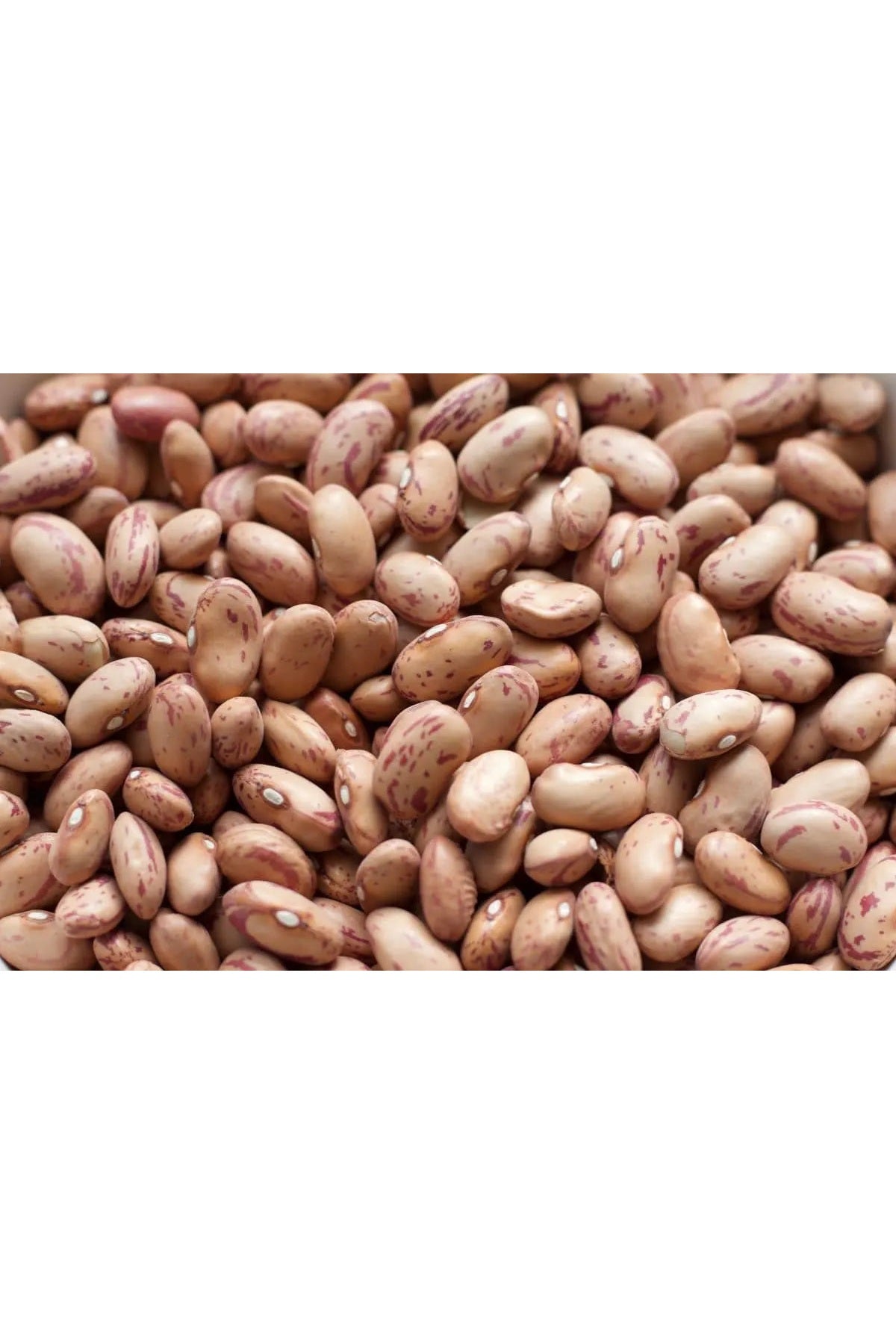Legumes