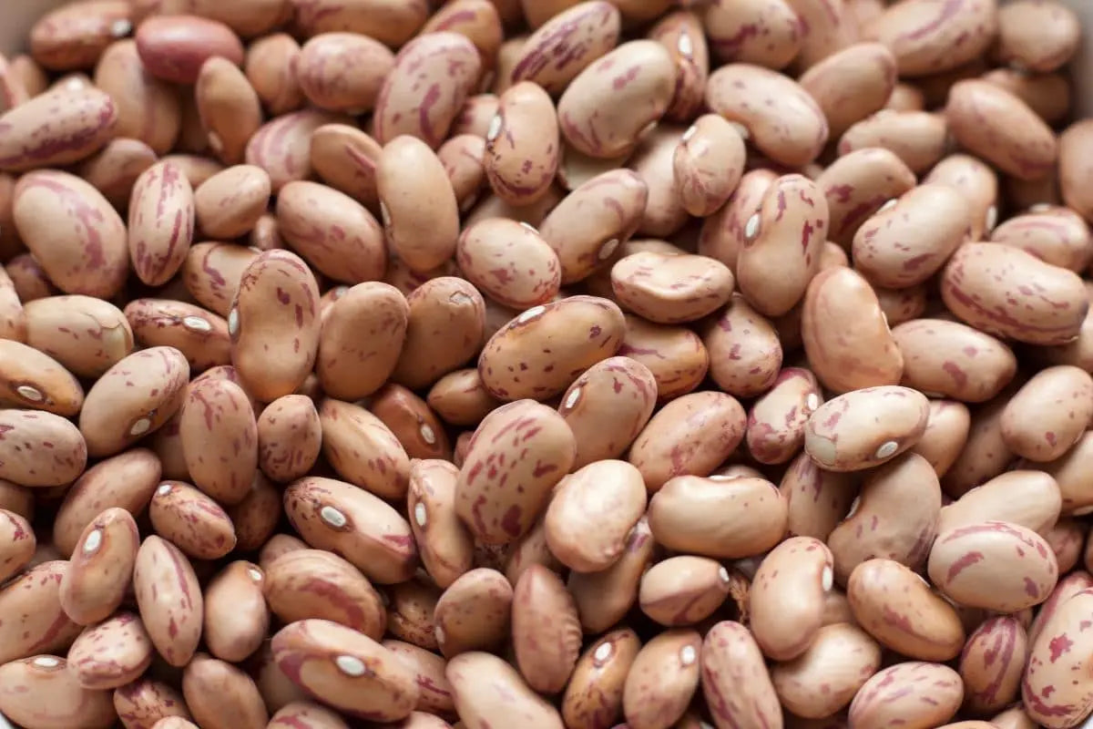 Legumes