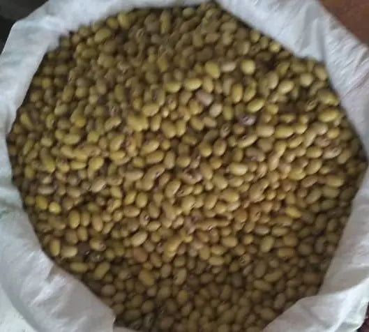 Dry Yellow Beans – Nutritious & Delicious /kg Murukali.com