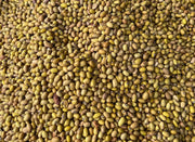 Dry Yellow Beans – Nutritious & Delicious /kg Murukali.com