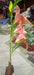 Easter Lily Artificial Flower Red Hot Murukali.com