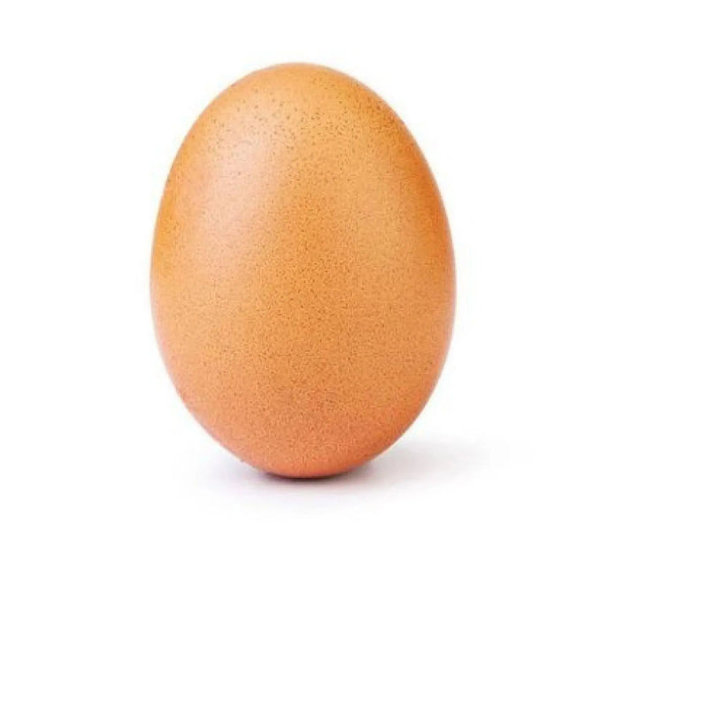 Egg (pondeuse) /pc murukali.com