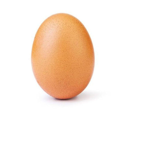 Egg (pondeuse) /pc murukali.com