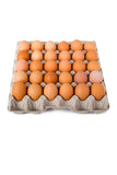 Eggs Tray Pondeuse/30pcs murukali.com