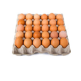 Eggs Tray Pondeuse/30pcs murukali.com