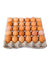 Eggs Tray Pondeuse/30pcs murukali.com