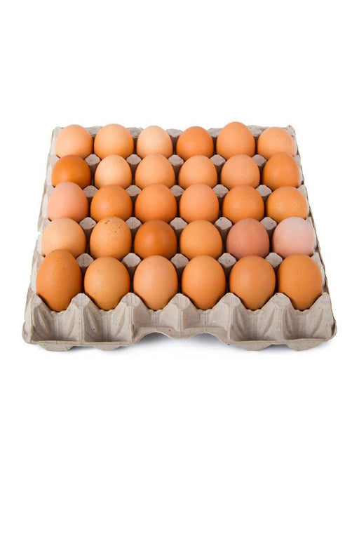 Eggs Tray Pondeuse/30pcs murukali.com