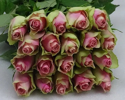 Esperance Fresh Rose Flower Boucket Murukali.com