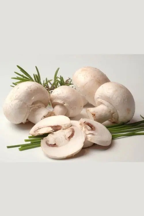Everyday Paris Mushrooms murukali.com